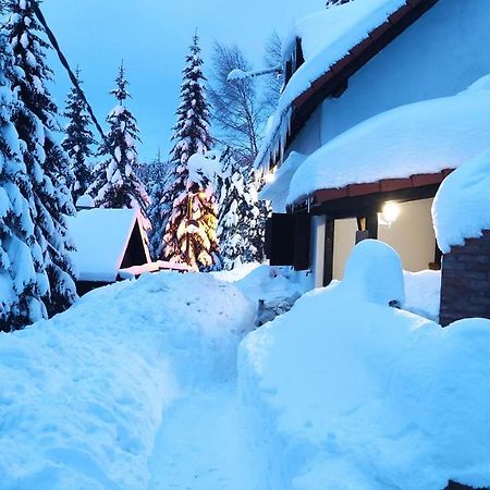 Uki & Sofi Mountain House Hotel โคเปานิก ภายนอก รูปภาพ
