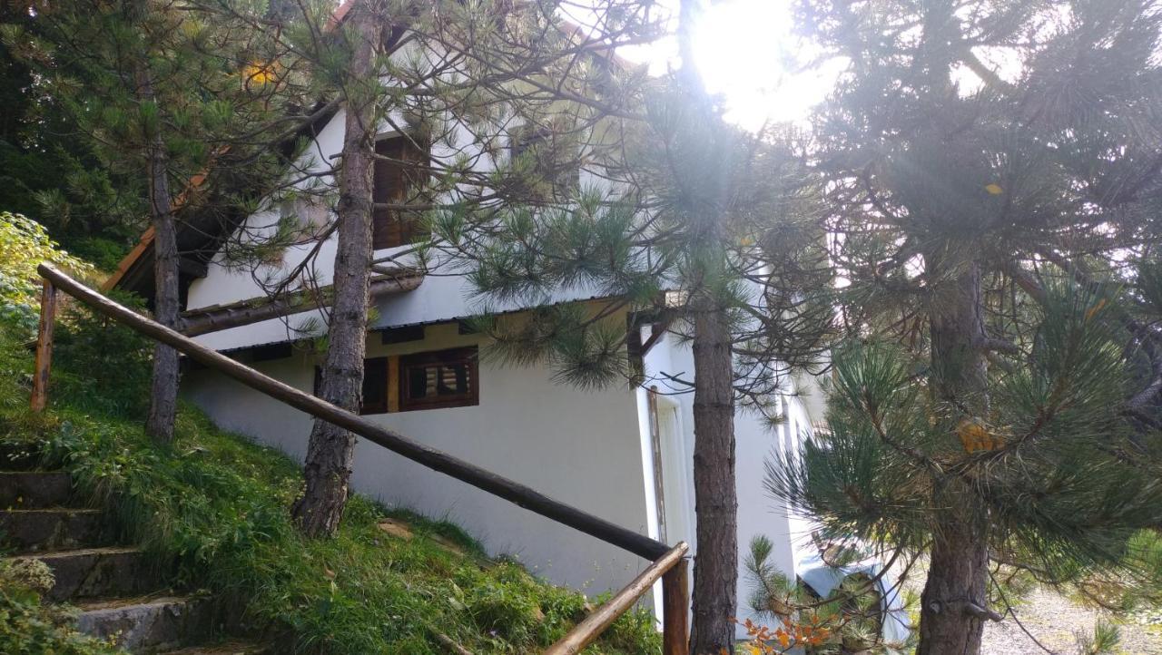 Uki & Sofi Mountain House Hotel โคเปานิก ภายนอก รูปภาพ
