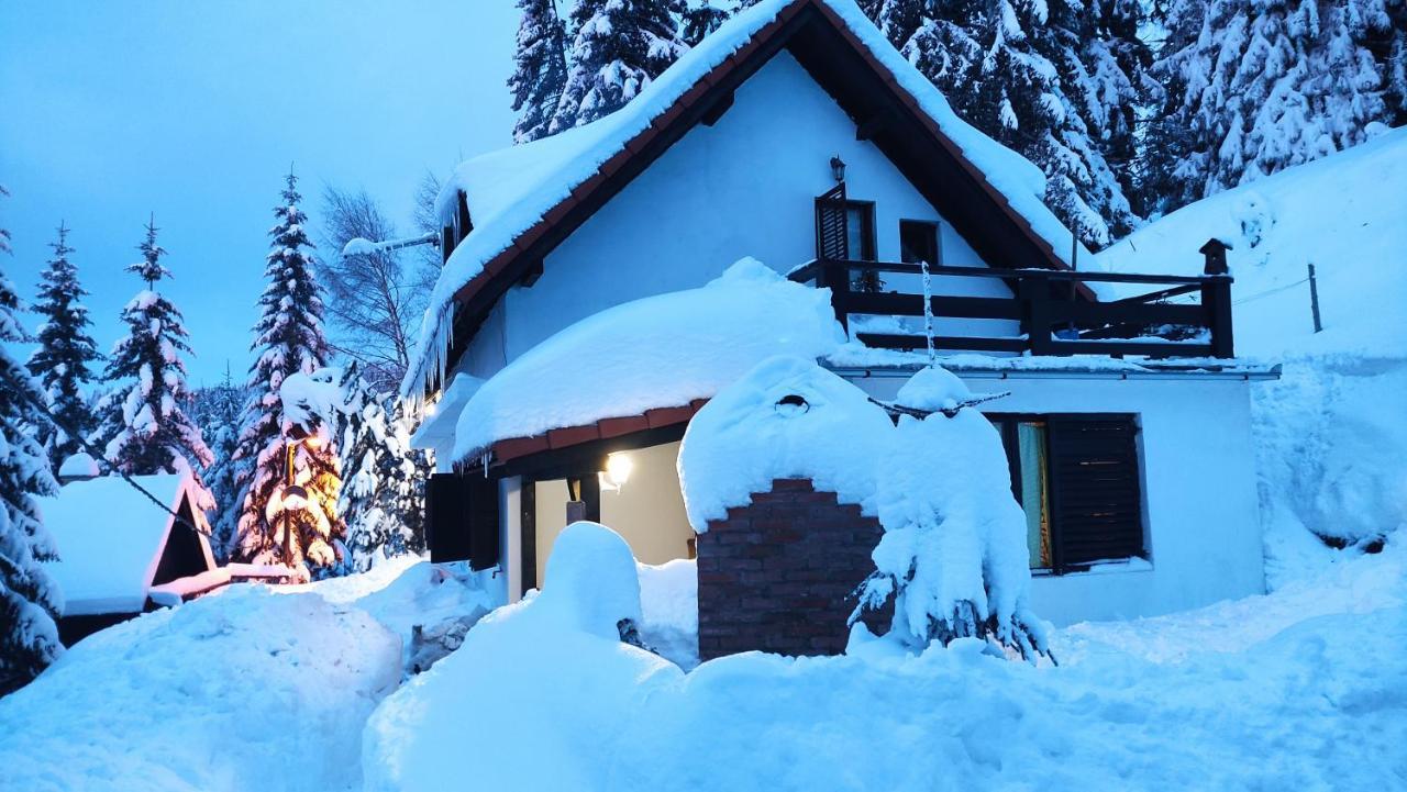 Uki & Sofi Mountain House Hotel โคเปานิก ภายนอก รูปภาพ