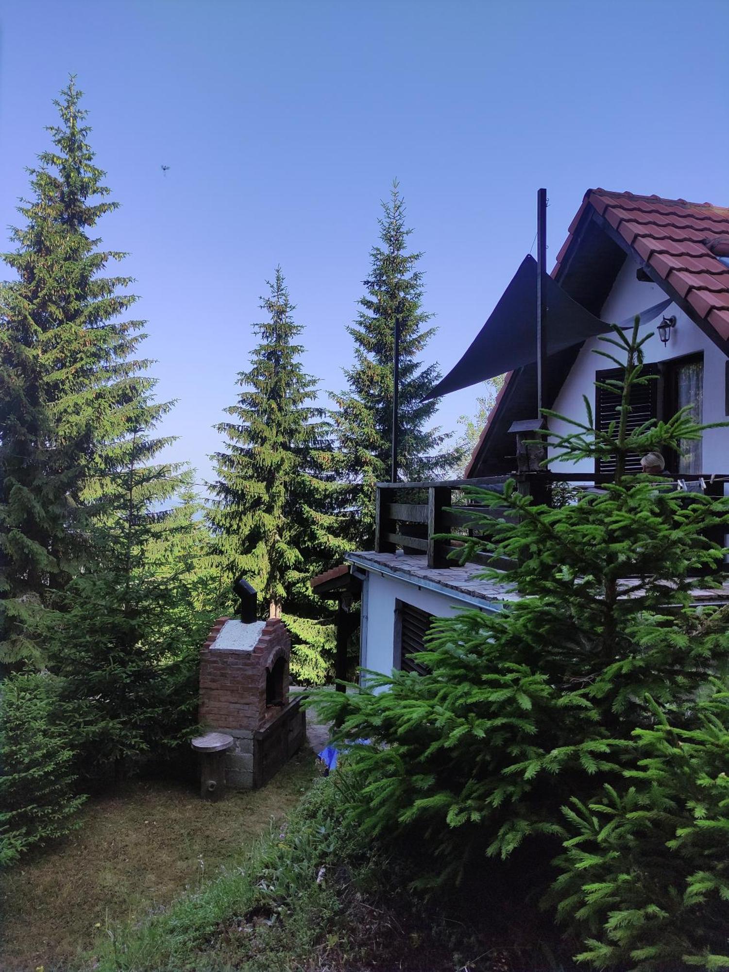 Uki & Sofi Mountain House Hotel โคเปานิก ห้อง รูปภาพ