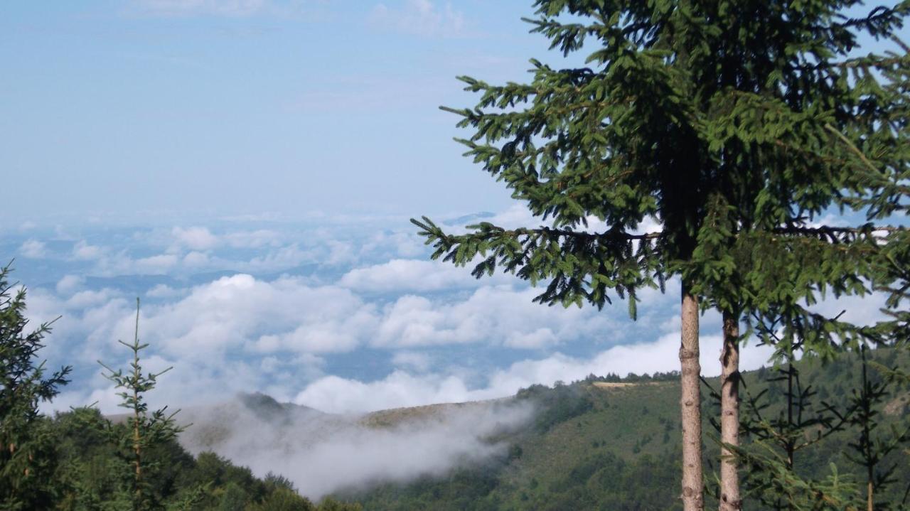 Uki & Sofi Mountain House Hotel โคเปานิก ภายนอก รูปภาพ