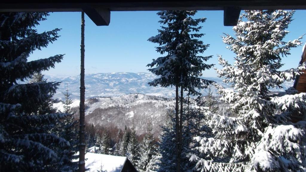 Uki & Sofi Mountain House Hotel โคเปานิก ภายนอก รูปภาพ